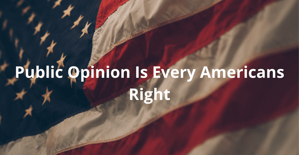 public opinion is every americans right